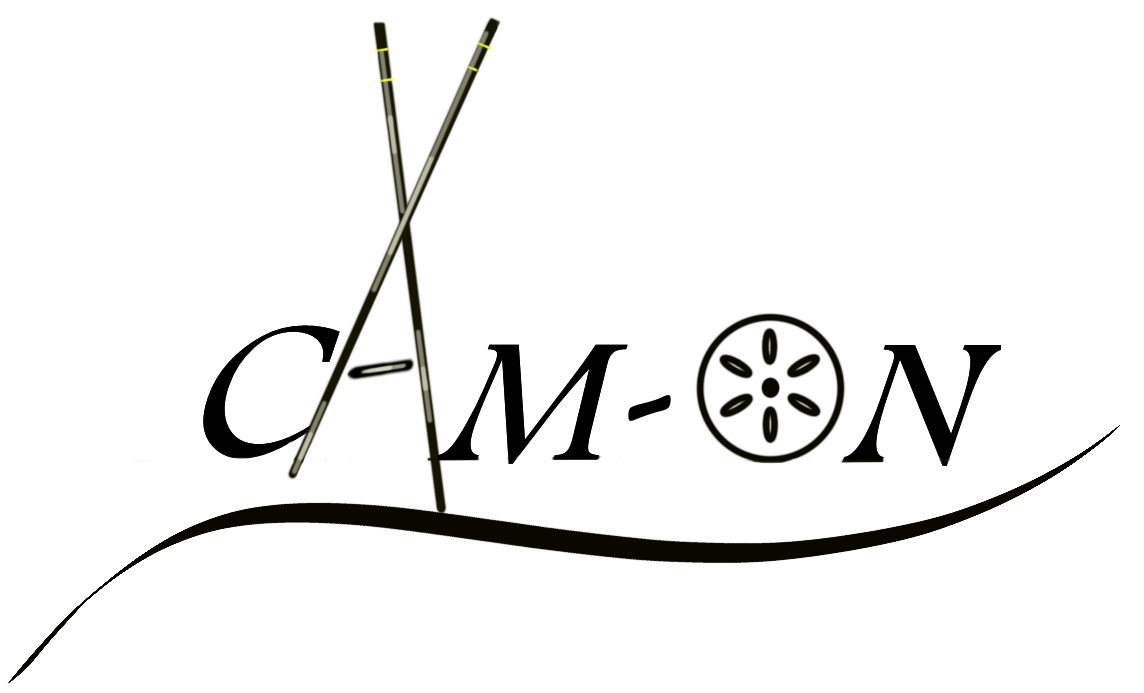 Logo CAM-ON Swiss SNC